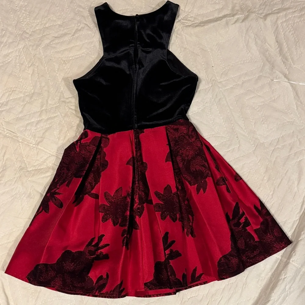 Teeze Me Black and Red Floral Mini Dress 3/4